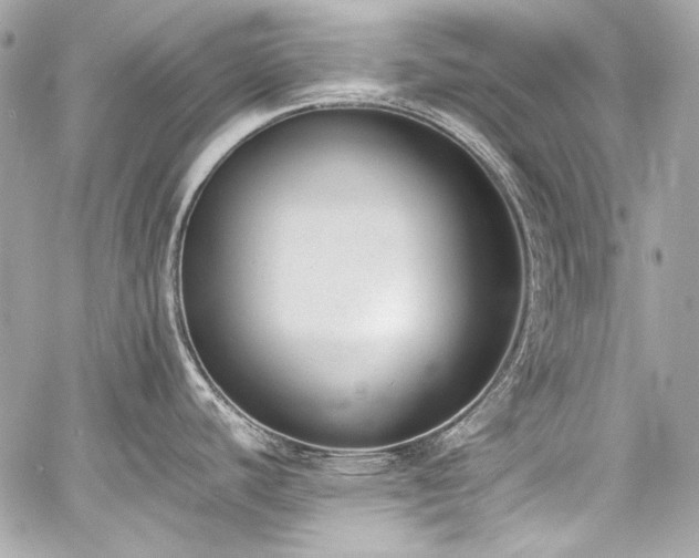 X0000060801440200511101407