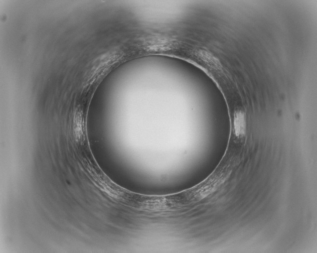 X0000060801444200511101406