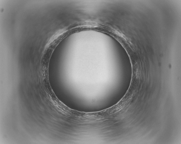 X0000060801448200511101406