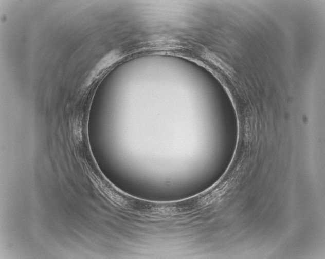 X0000060801451200511101406