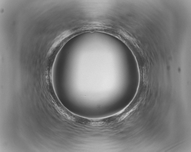 X0000060801453200511101406