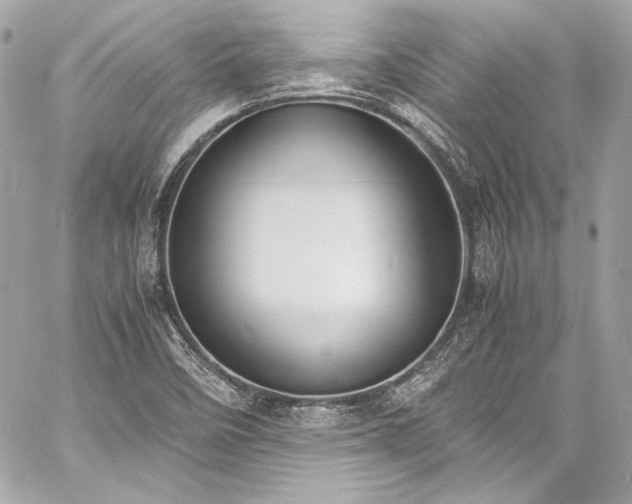 X0000060801458200511101406