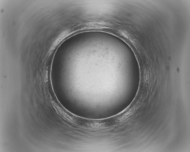 X0000060801459200511101406