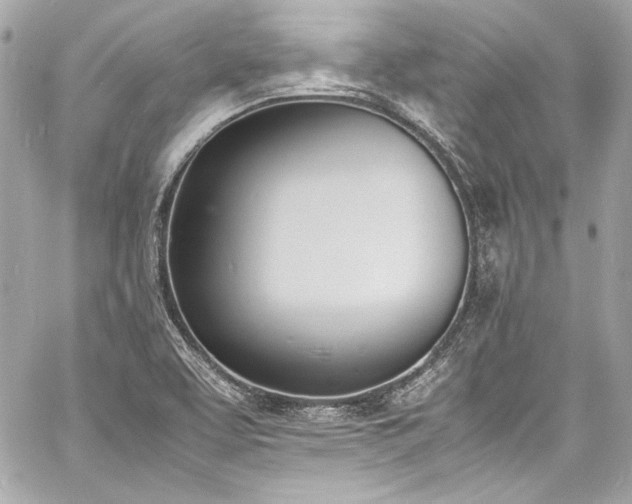 X0000060801463200511101406