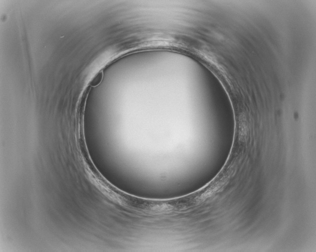 X0000060801467200511101406