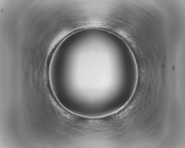 X0000060801469200511101406
