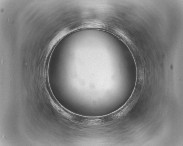 X0000060801471200511101406
