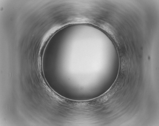 X0000060801472200511101406