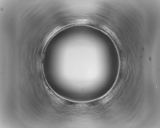 X0000060801473200511101406