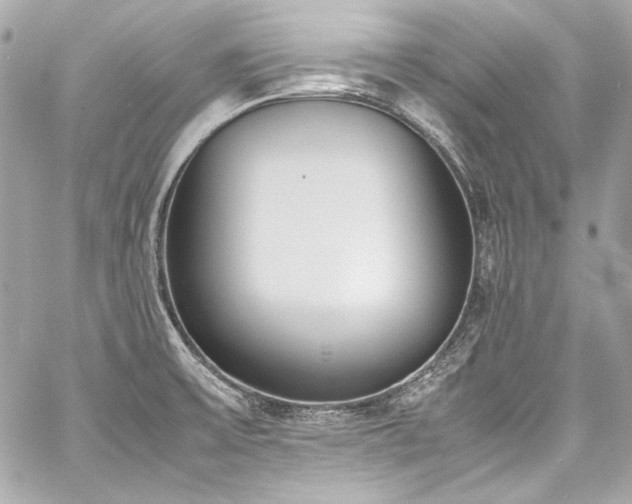 X0000060801475200511101406