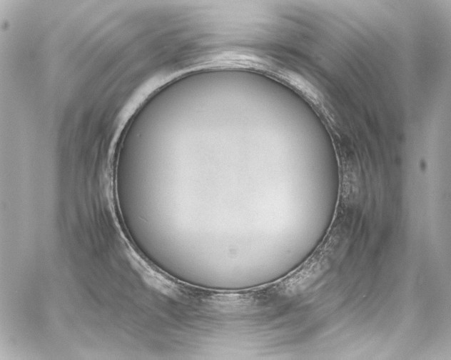 X0000060801478200511101406