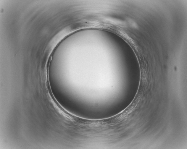 X0000060801479200511101406