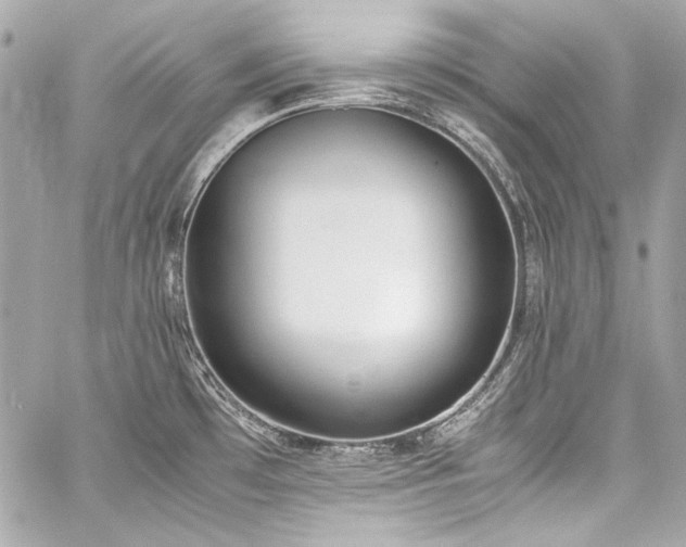 X0000060801481200511101406