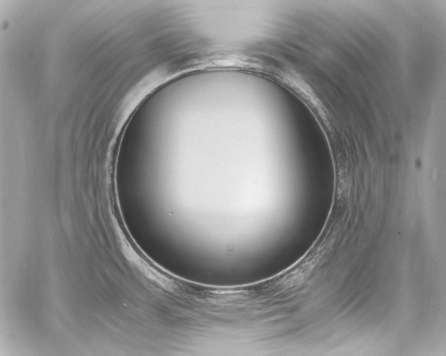 X0000060801483200511101406