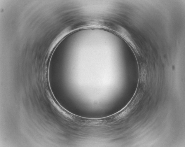 X0000060801484200511101406