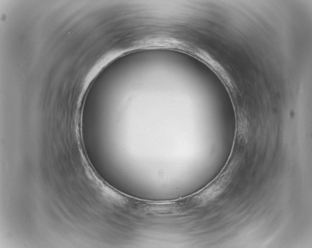 X0000060801486200511101406