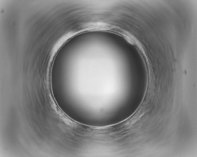 X0000060801488200511101406
