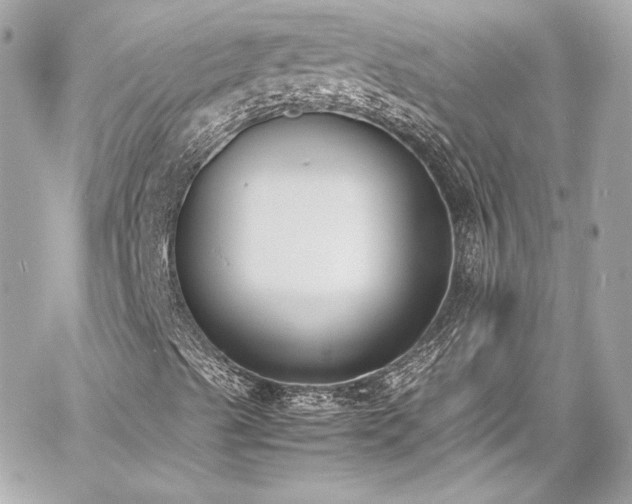 X0000060801489200511101405