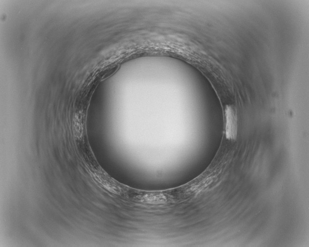 X0000060801491200511101405
