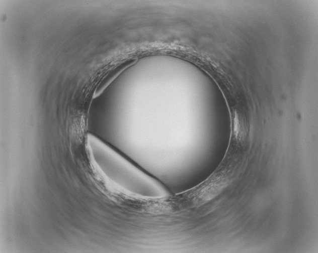 X0000060801492200511101405