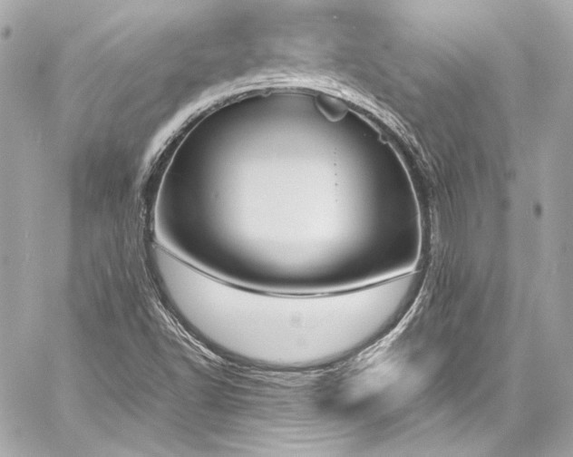 X0000060801502200511101405