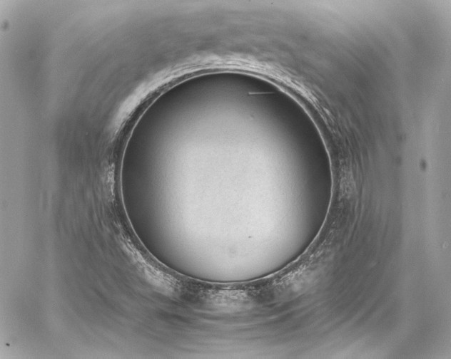 X0000060801503200511101405