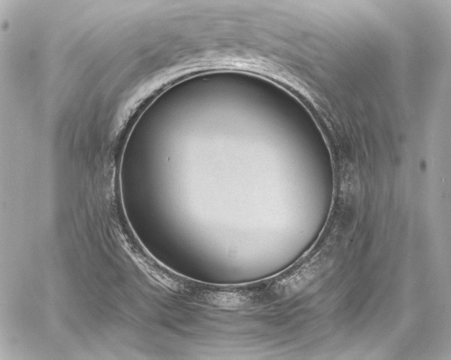 X0000060801507200511101405