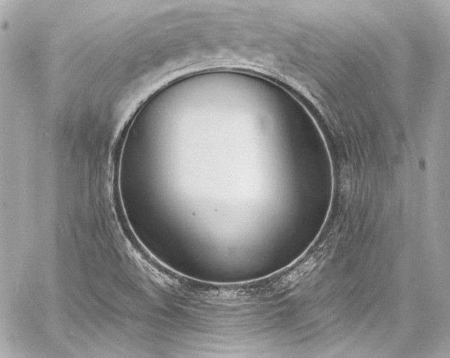 X0000060801508200511101405