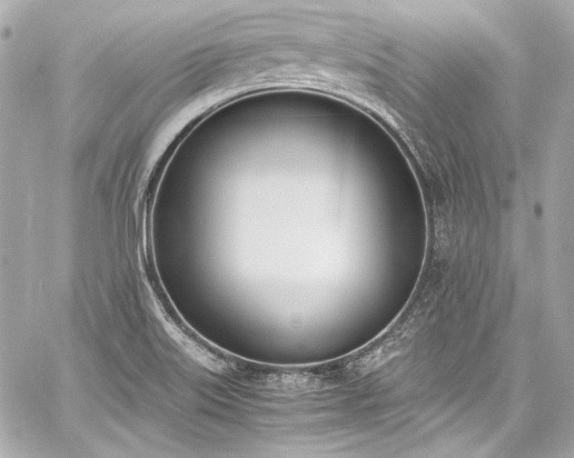 X0000060801515200511101405