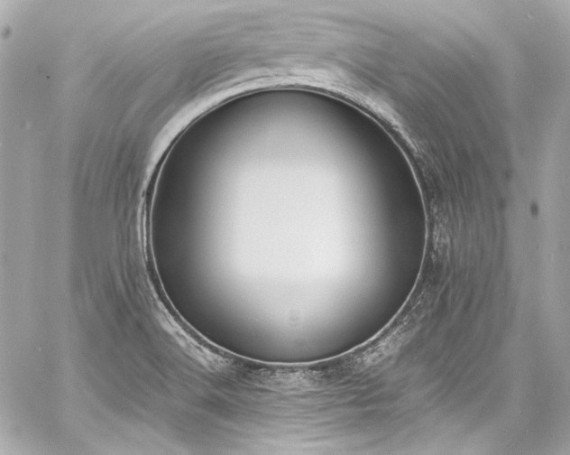 X0000060801516200511101405