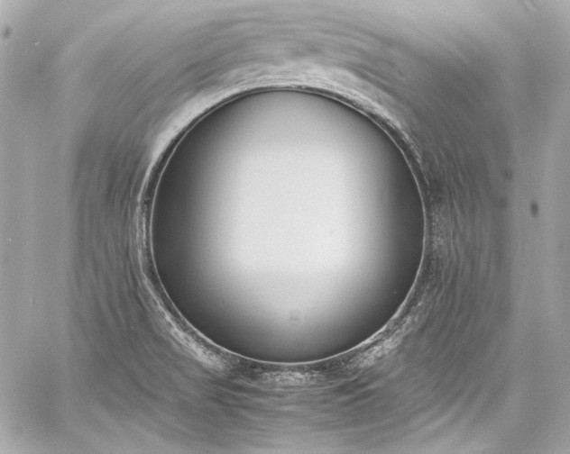 X0000060801517200511101405
