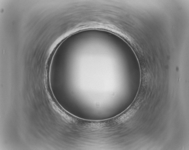 X0000060801518200511101405
