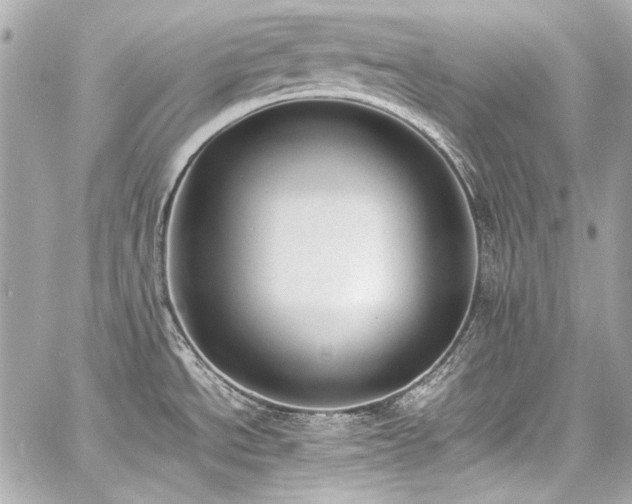 X0000060801534200511101406