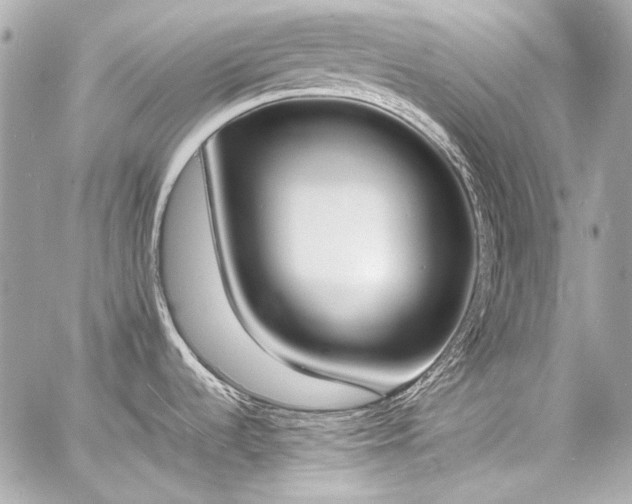 X0000060801536200511101406