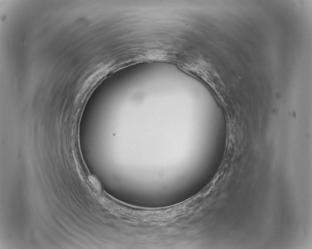 X0000060800001200511141452