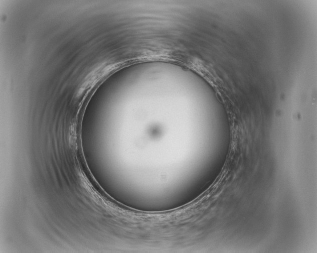 X0000060800002200511141452