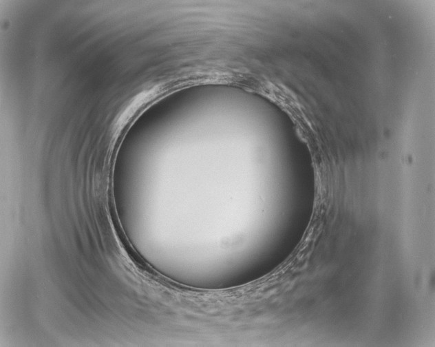 X0000060800003200511141452