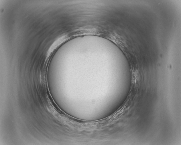 X0000060800004200511141452