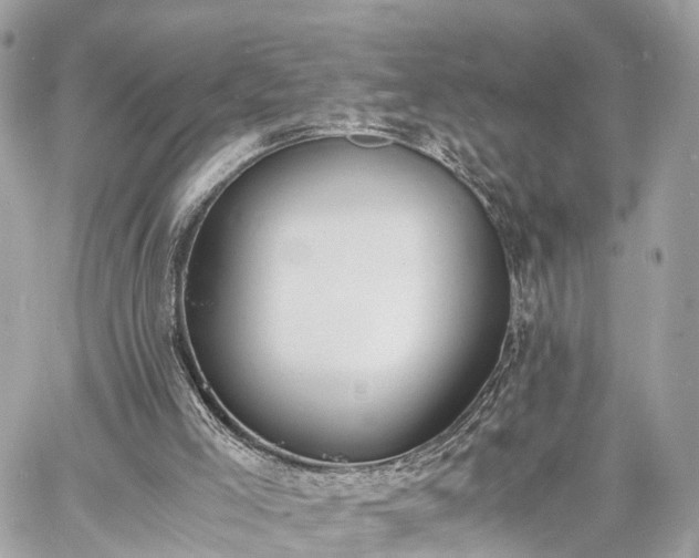 X0000060800005200511141452