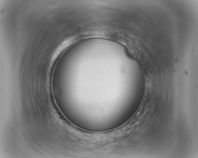 X0000060800006200511141452