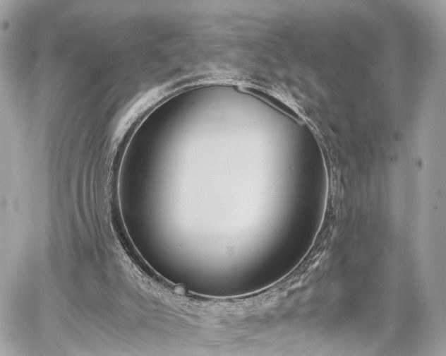 X0000060800007200511141452