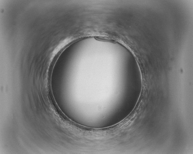 X0000060800008200511141452