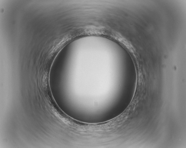 X0000060800009200511141452