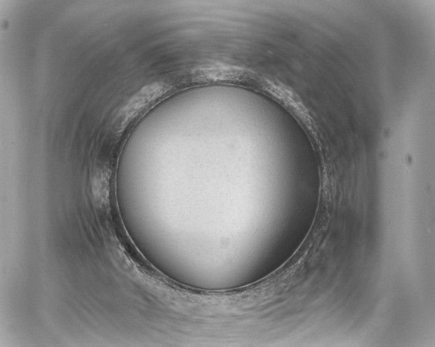 X0000060800010200511141452