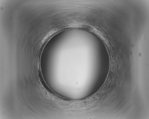 X0000060800011200511141452