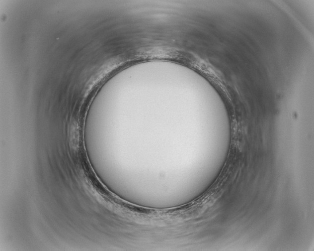 X0000060800012200511141452