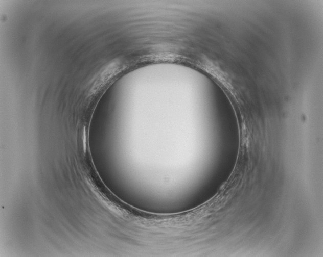 X0000060800013200511141452