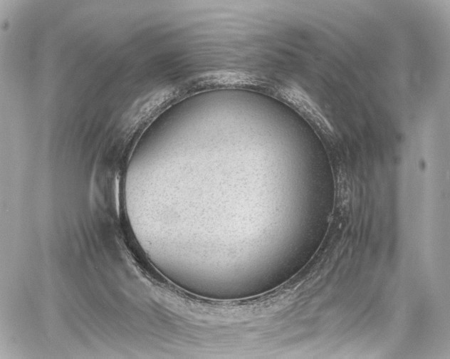 X0000060800014200511141452