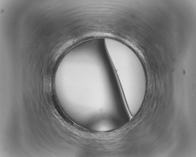 X0000060800015200511141452