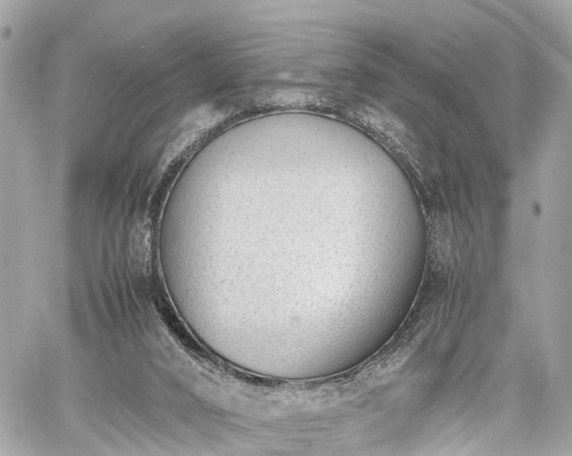 X0000060800016200511141452